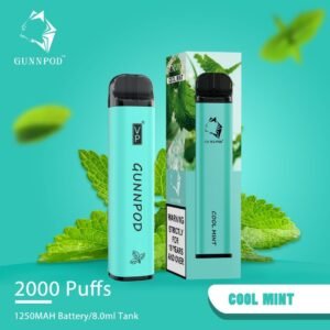gunnpod cool mint – 2000 puffs