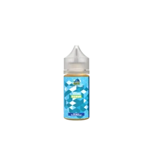 mint guava nicotine salt e liquid